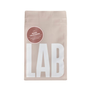 COFFEELAB - kawa ziarnista Meksyk Carlos Cadena Honey Filter 250 g