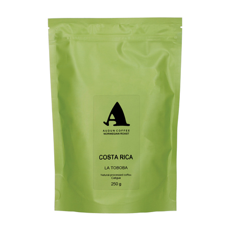 Audun Coffee - kawa ziarnista Kostaryka La Toboba Natural Filter 250 g